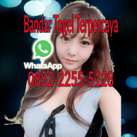 mbo128 comtogel