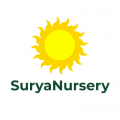 Surya Nursery Chandigarh