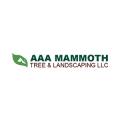 AAA Mammoth Tree
