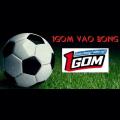1gom88