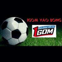 1gom88