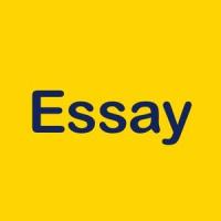 Essay Writing Service