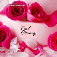 Gastro Doctor India
