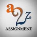 A2zassignment Support