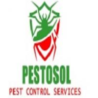 hyderabadpestcontrol