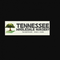 wholesalenursery