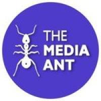 The Media Ant