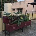 Thekaratfarms