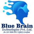 Blue Brain Technologies