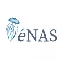 Enas Wellness