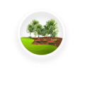 DFW Turfgrass Science LLC