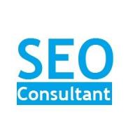 SEO Consultant