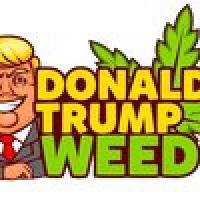 Donald Trump Weed