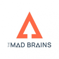 The Mad Brains