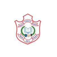 Delhi City School