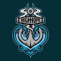 High Hope Newport